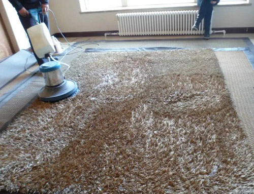 1647768012208910.jpg 1.jpg